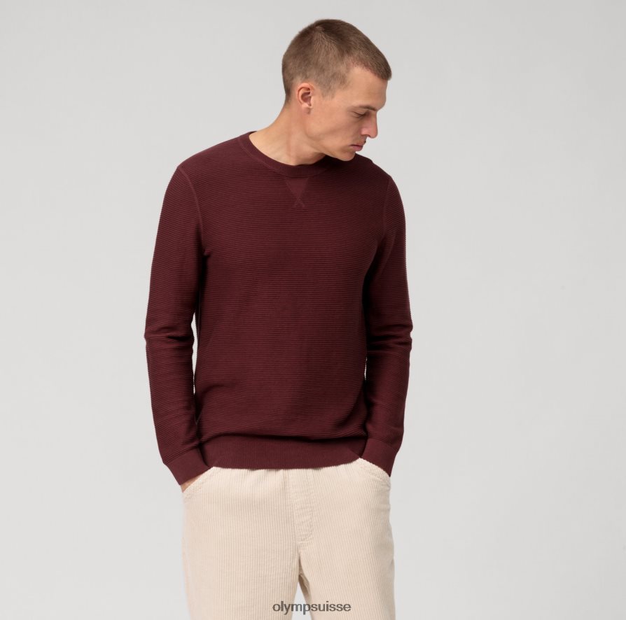 pull en tricot décontracté, chianti OLYMP vêtements VVP4DB1763
